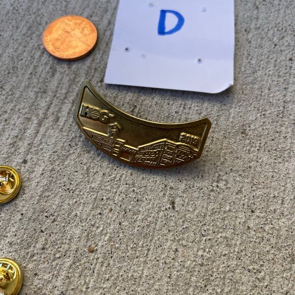 2019 HOG Harley Davidson Owners Group Pin Rocker Badge Wings HD Metal - Picture 5 of 9